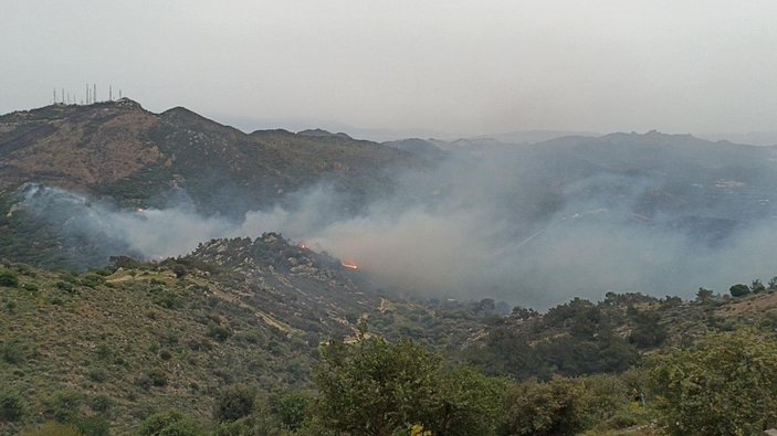 Bodrum'da orman ve makilik yangını -3