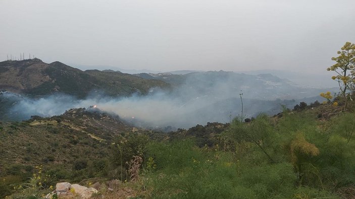 Bodrum'da orman ve makilik yangını -9