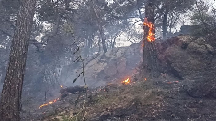Bodrum'da orman ve makilik yangını -6
