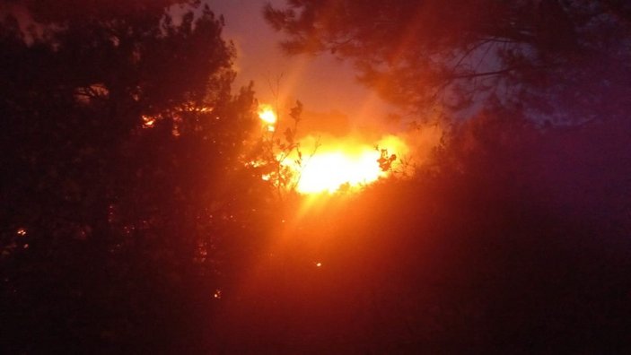 Bodrum'da orman ve makilik yangını -10