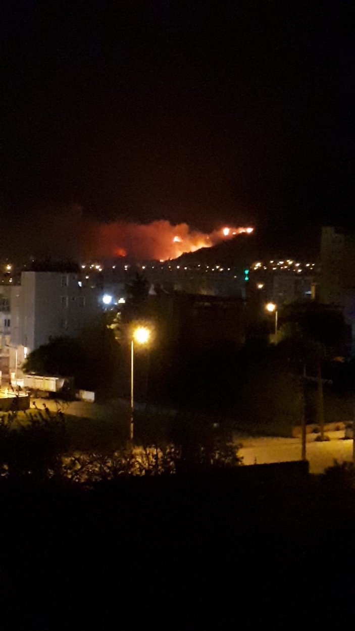 Hatay'da orman yangını