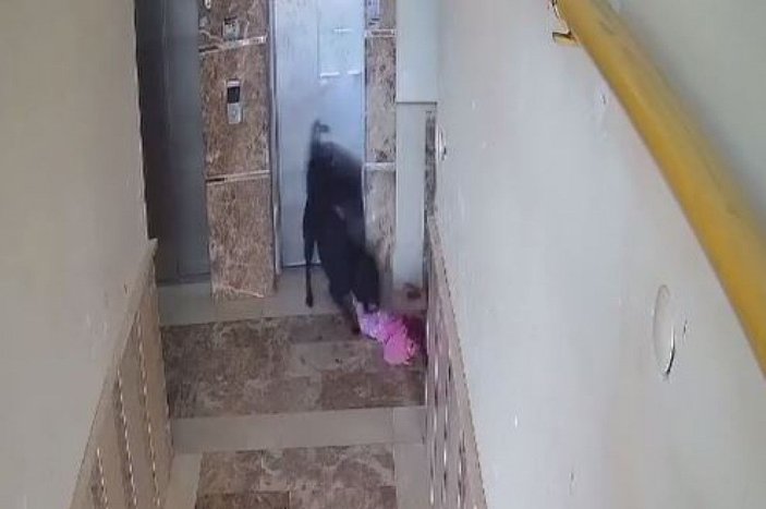 Apartmanın koridorunda oynarken köpeğin saldırdığı çocuğun yaralandı anlar kamerada -1