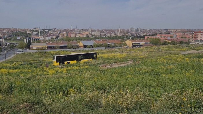 Sultangazi'de İETT otobüsü araziye uçtu; ekinleri zarar gören kadının tepkisi    -5