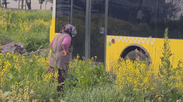 Sultangazi'de İETT otobüsü araziye uçtu; ekinleri zarar gören kadının tepkisi    -6