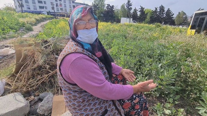 Sultangazi'de İETT otobüsü araziye uçtu; ekinleri zarar gören kadının tepkisi    -7