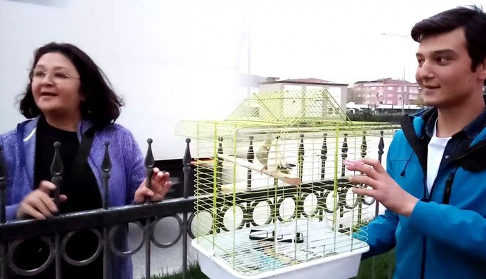 Otomobildeki kafesinden uçup, direğe konan papağan için seferber oldular -9