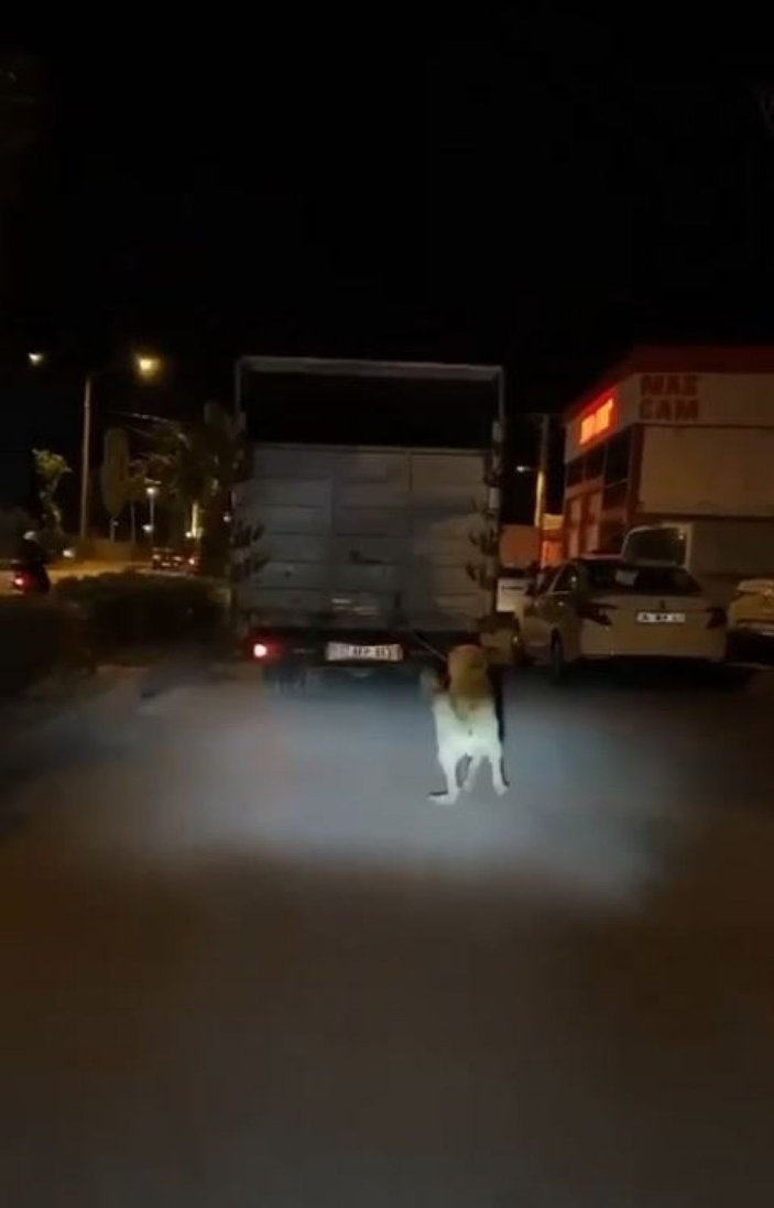 Antalya'da köpeği kamyonun arkasına bağlayan sürücüye 196 lira ceza
