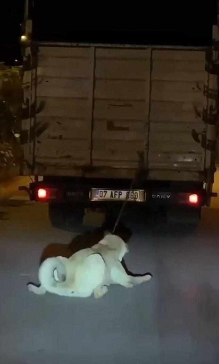 Antalya'da köpeği kamyonun arkasına bağlayan sürücüye 196 lira ceza