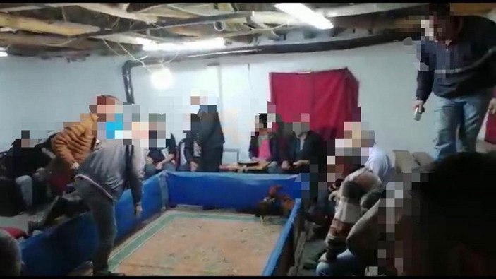 Manisa'da horoz dövüştüren 31 kişiye 56  bin lira para cezası