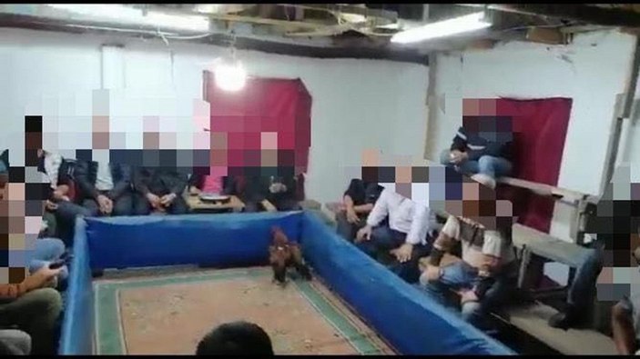 Manisa'da horoz dövüştüren 31 kişiye 56  bin lira para cezası
