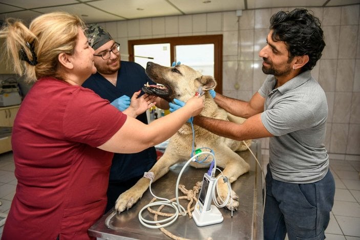 Kamyonet arkasında sürüklenen köpek tedaviye alındı, sürücüye 196 lira ceza -2