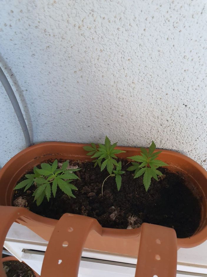 d Çanakkale merkezli 3 ilde uyuşturucu operasyonu: 40 gözaltı -3