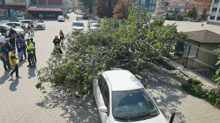 Bursa'da rüzgarda okul girişindeki ağaç devrildi, 1 kadın yaralandı -5