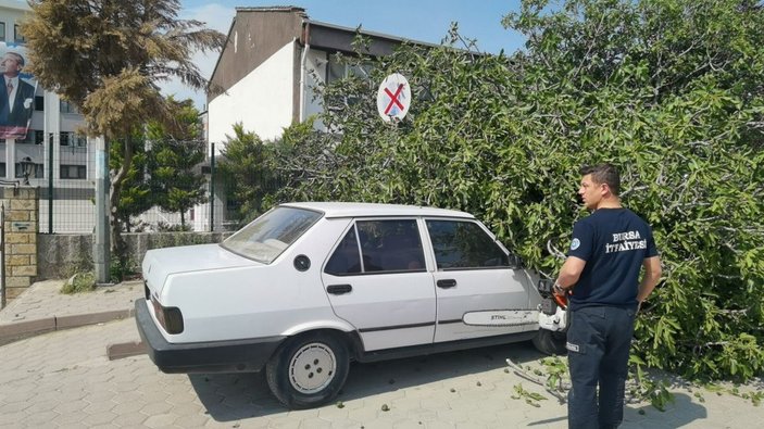 Bursa'da rüzgarda okul girişindeki ağaç devrildi, 1 kadın yaralandı -8