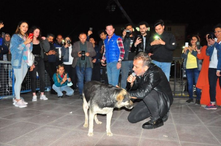 Haluk Levent, sokak köpeğiyle yere uzanarak seslendirdiği şarkılarla hayranlarını coşturdu -7