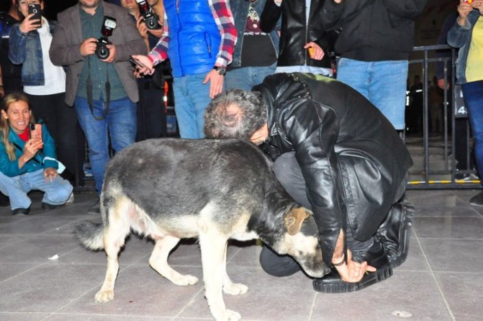 Haluk Levent, sokak köpeğiyle yere uzanarak seslendirdiği şarkılarla hayranlarını coşturdu -10