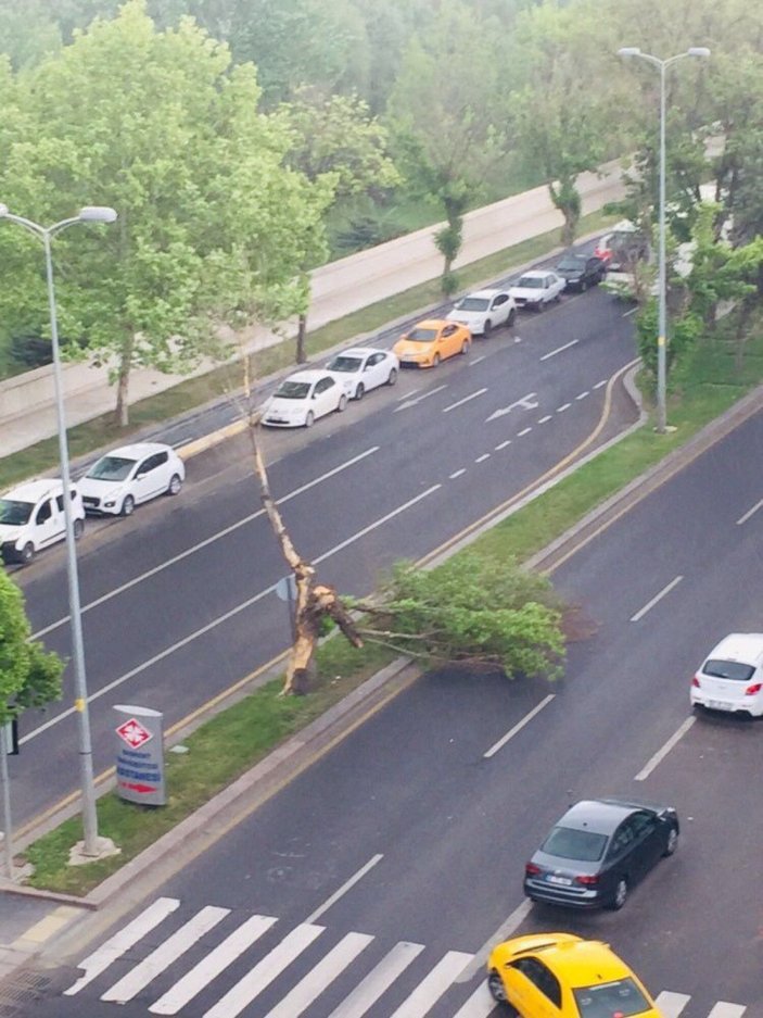 Ankara'da kuvvetli rüzgardan dolayı çatılar uçtu, ağaçlar devrildi -10
