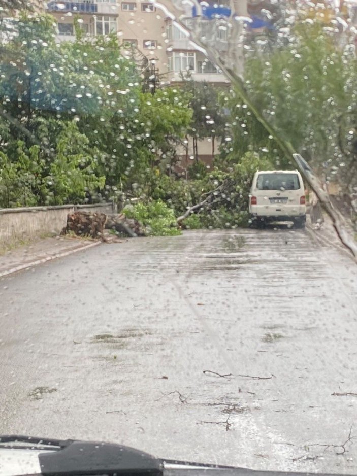 Ankara'da kuvvetli rüzgardan dolayı çatılar uçtu, ağaçlar devrildi -5