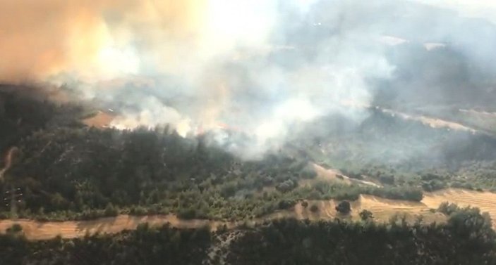 Adana'da orman yangını -2