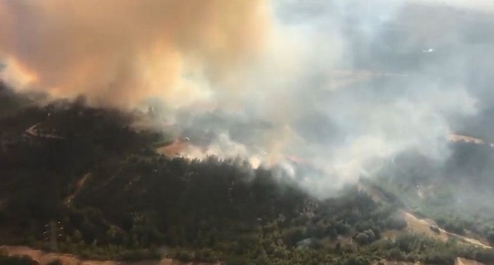 Adana'da orman yangını -1