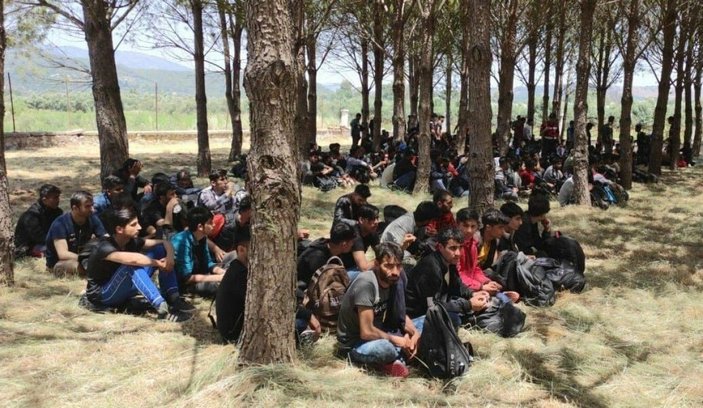 Muğla'da 237 kaçak göçmen yakalandı -1
