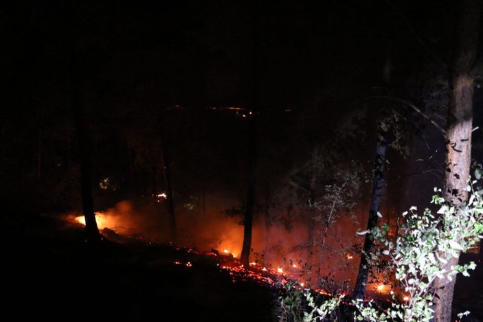 Kozan’da 6 noktada çıkan orman yangını kontrol altına alındı -2