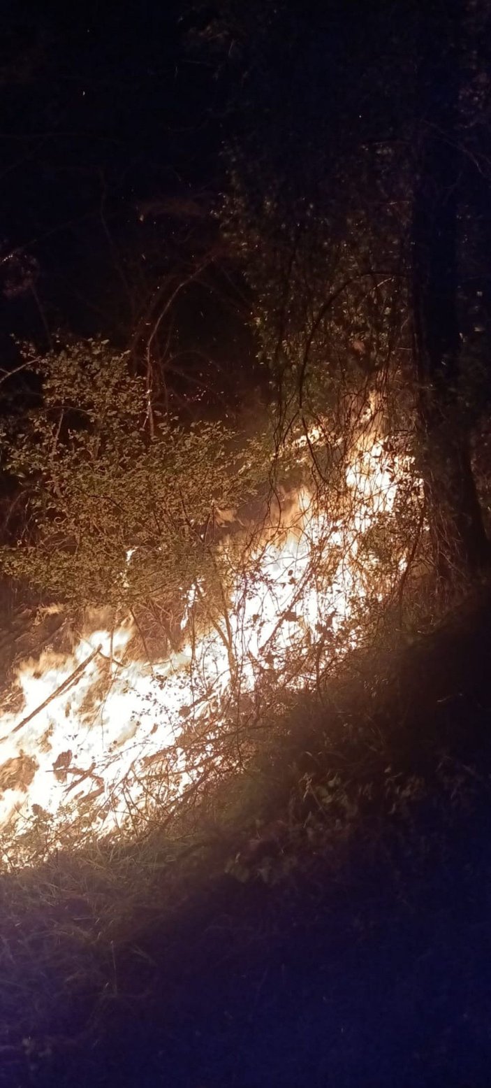 Kozan’da 6 noktada çıkan orman yangını kontrol altına alındı -5