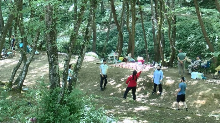Belgrad Ormanı'na piknikçi akını -3