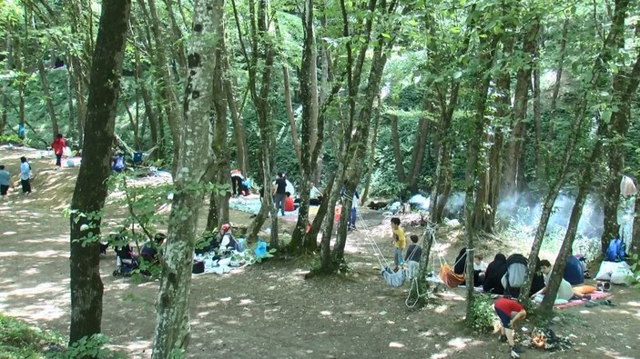 Belgrad Ormanı'na piknikçi akını -1