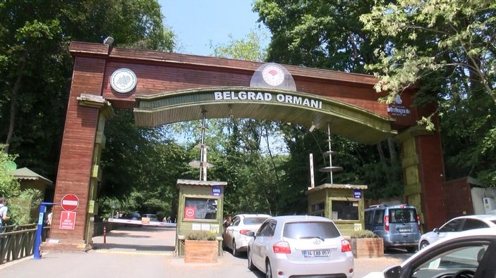 Belgrad Ormanı'na piknikçi akını -8