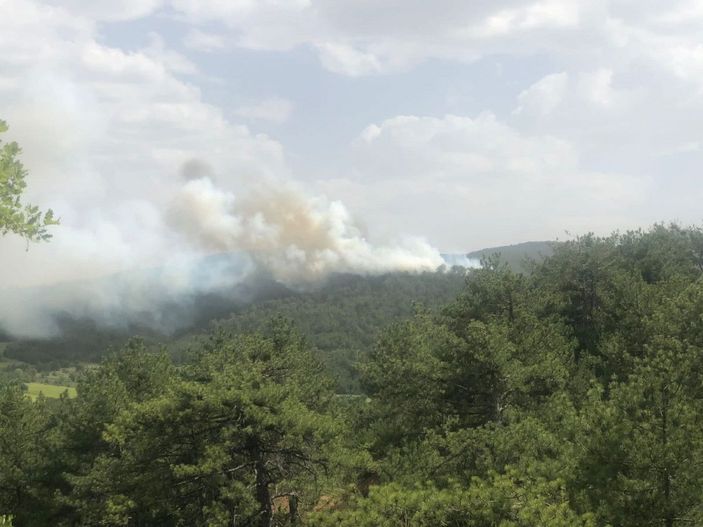 Bolu’da orman yangını (1) -1