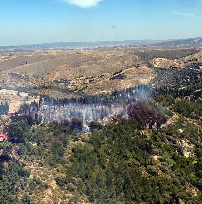 İzmir'de orman yangını (1) -4