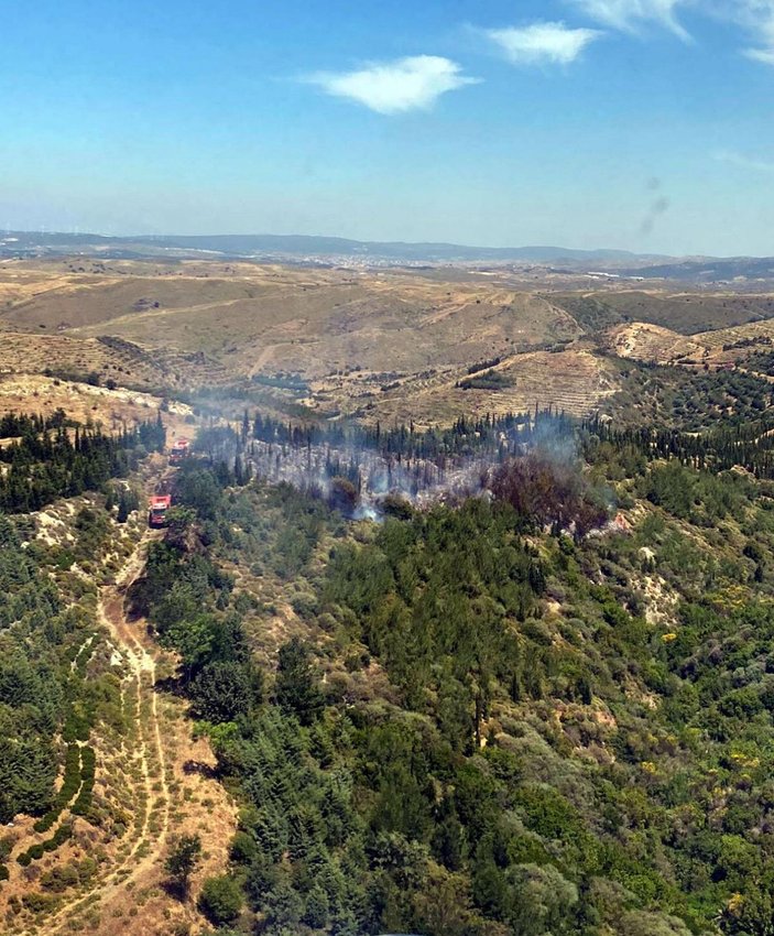 İzmir'de orman yangını (1) -1