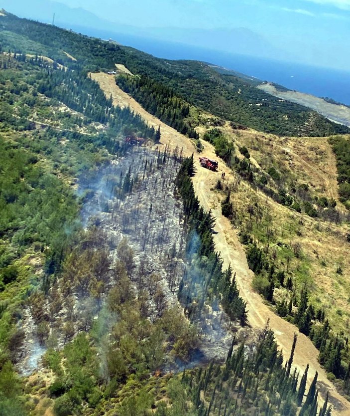 İzmir'de orman yangını (1) -3