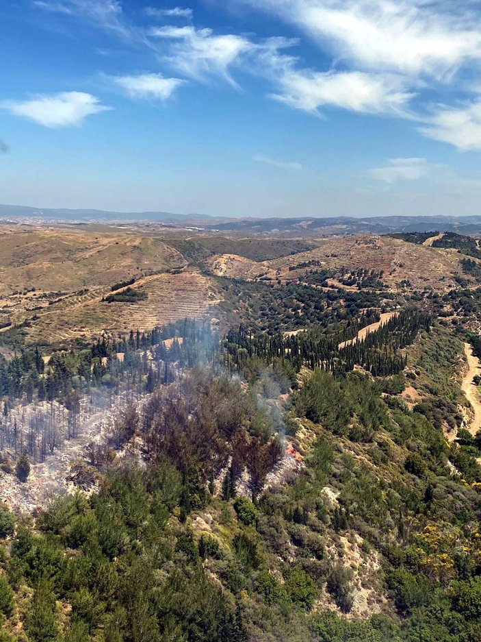 İzmir'de orman yangını (1) -2