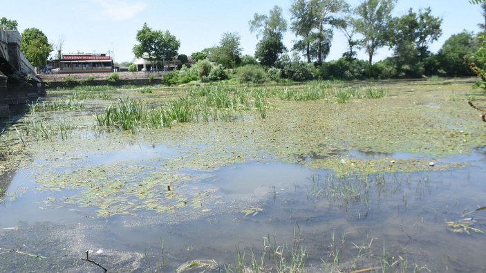 Debisi düşen Tunca Nehri'nde atıklar gün yüzüne çıktı