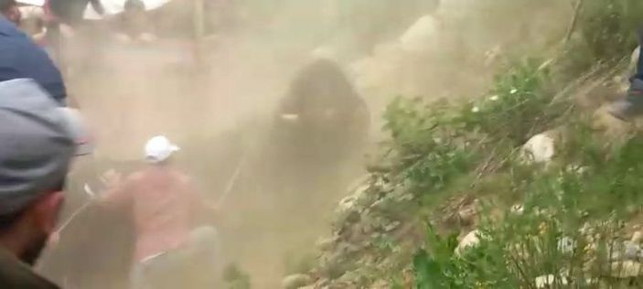 Arenadan kaçan boğalar, seyircilerin arasına daldı; o anlar kamerada -2