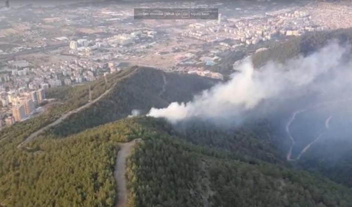 İzmir'de orman yangını -4