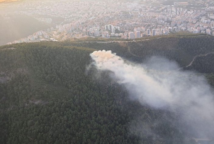 İzmir'de orman yangını -1