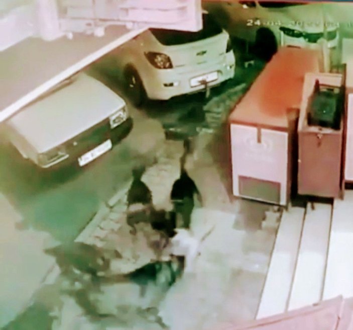 Gaziosmanpaşa'da sokak köpekleri anne ve çocuğuna saldırdı -3