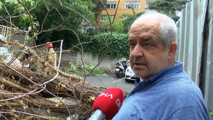 Kadıköy'de otomobilin üzerine ağaç devrildi -5