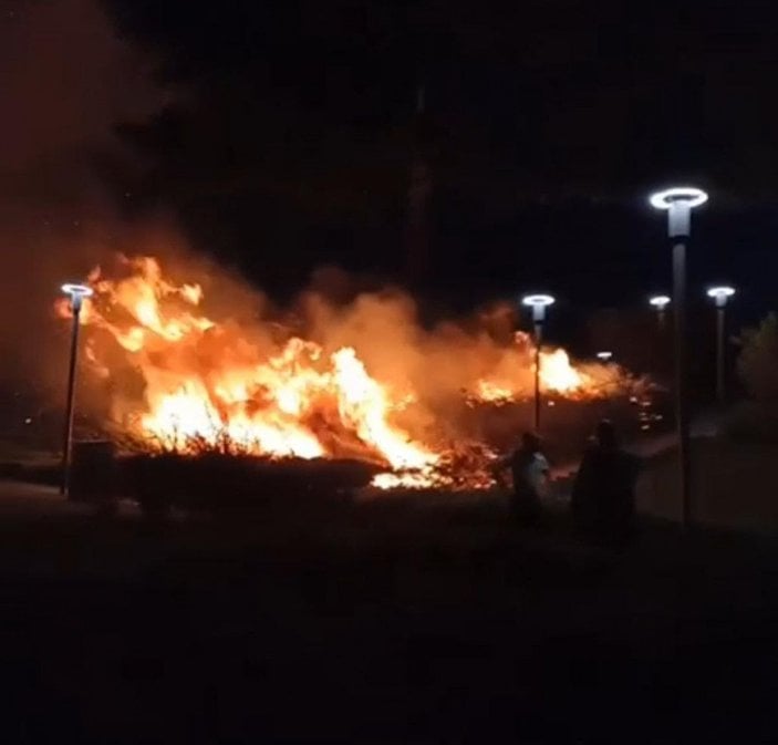 Ankara'da parkta yangın