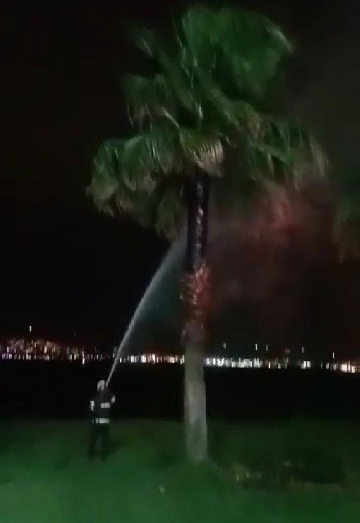 Dilek feneri palmiye ağacını yaktı  -2