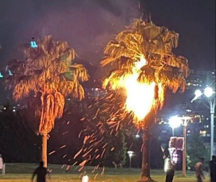 Dilek feneri palmiye ağacını yaktı  -1