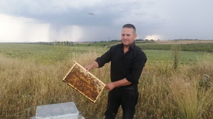 Sosyal medyadan çağrı yapınca çalınan 6 arı kovanı geri getirildi -1