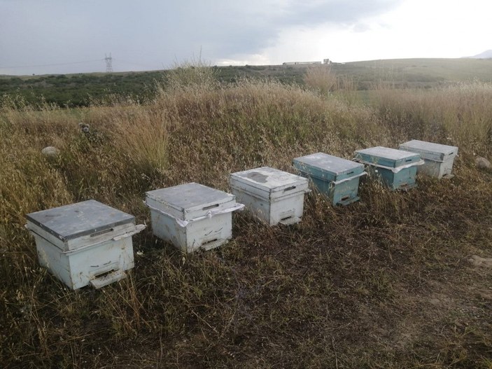 Sosyal medyadan çağrı yapınca çalınan 6 arı kovanı geri getirildi -3