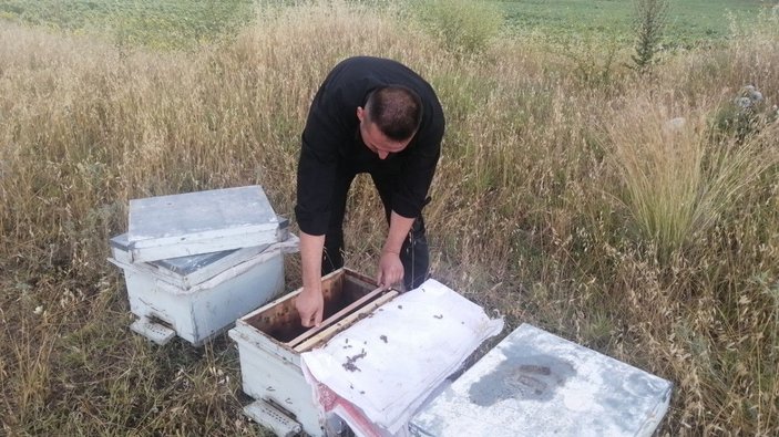 Sosyal medyadan çağrı yapınca çalınan 6 arı kovanı geri getirildi -2