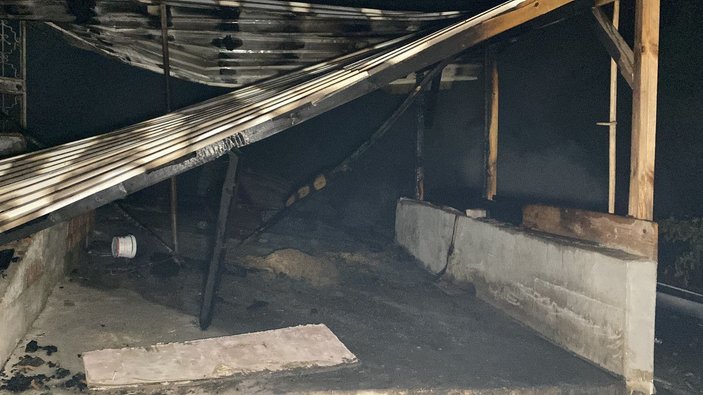 Kocaeli'de kurbanlık hayvanların olduğu ahırda yangın: 7 büyükbaş öldü