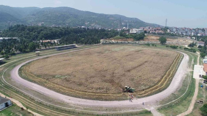 Boş araziden 20 ton buğday hasat edildi -2