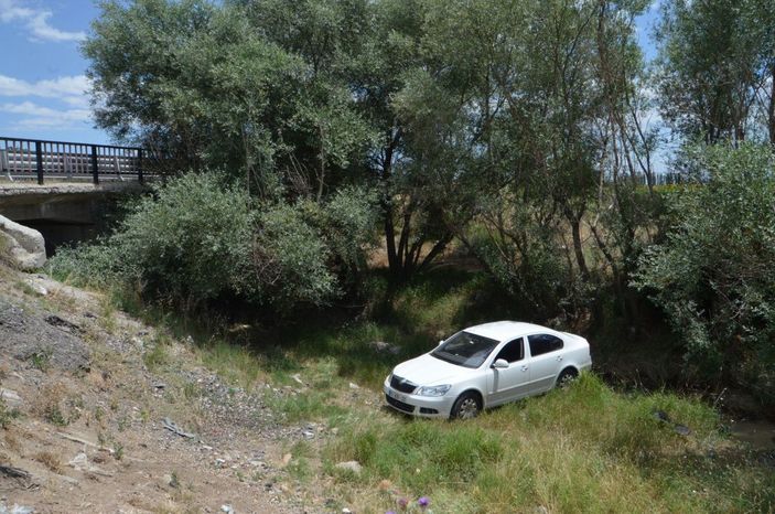 Sürücüsünü arı sokan otomobil şarampole düştü: 4 yaralı -2